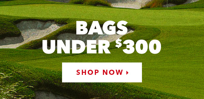 Top Brand Bags Under $300 